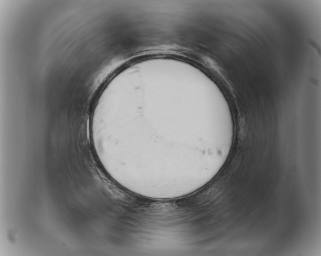 X0000102251320200808221344