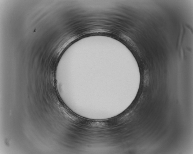 X0000102251321200808221344