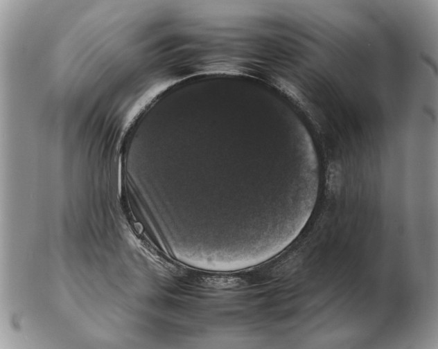 X0000102251323200808221344