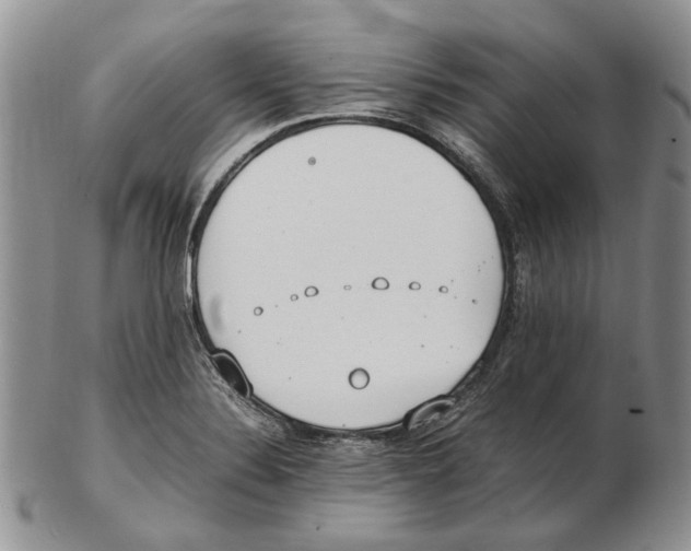 X0000102251324200808221344