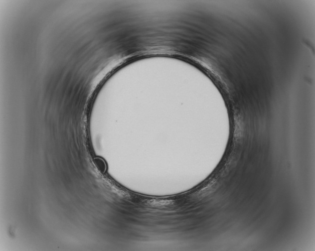 X0000102251325200808221344