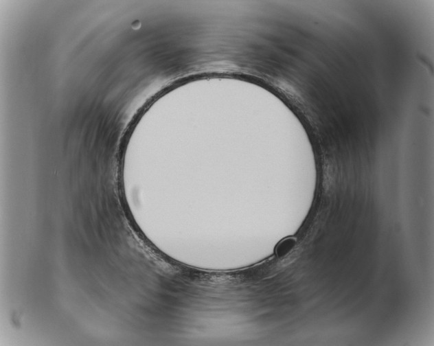 X0000102251326200808221344