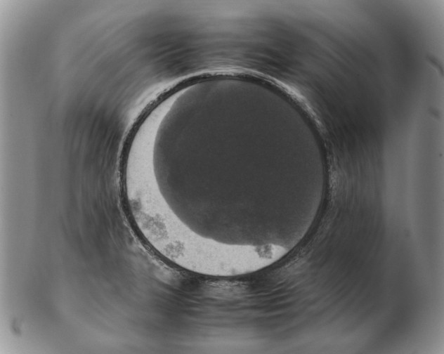 X0000102251327200808221344