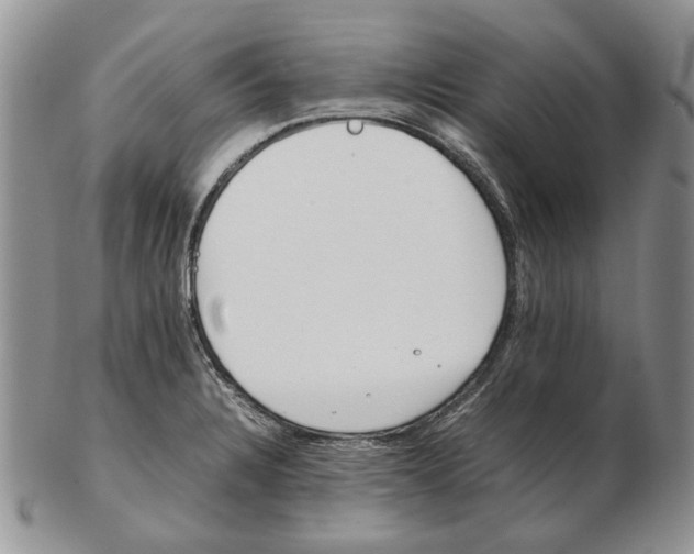 X0000102251328200808221344