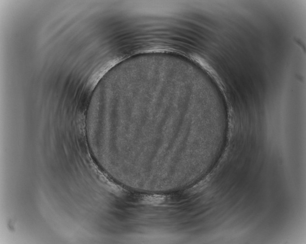 X0000102251329200808221344