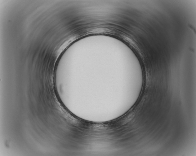 X0000102251330200808221344