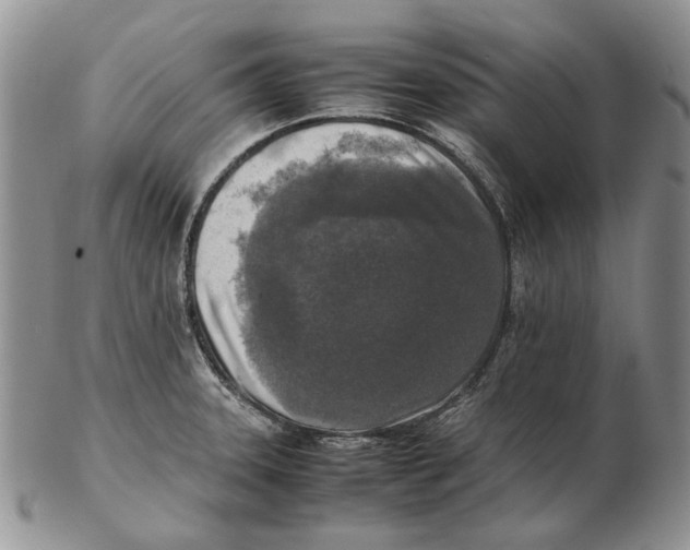 X0000102251331200808221344