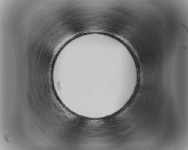 X0000102251333200808221344