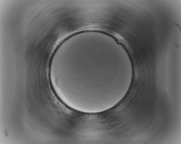 X0000102251334200808221344