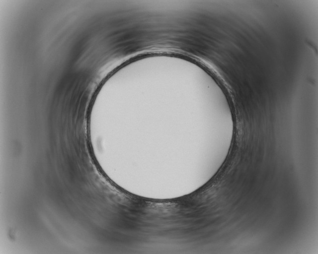 X0000102251335200808221344
