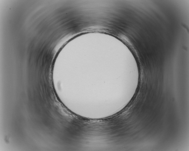 X0000102251336200808221344
