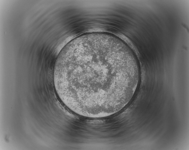 X0000102251337200808221344