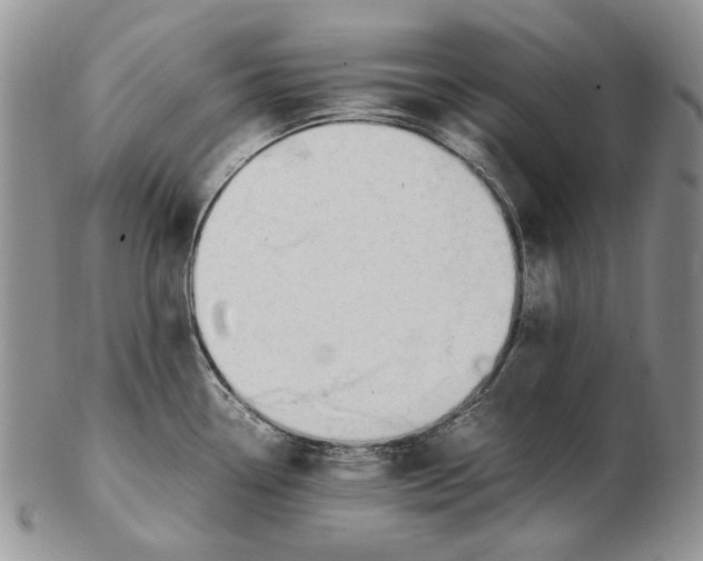 X0000102251338200808221344