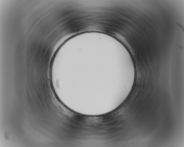 X0000102251339200808221344