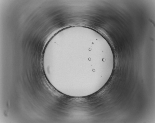 X0000102251340200808221344