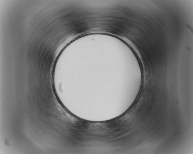 X0000102251341200808221344