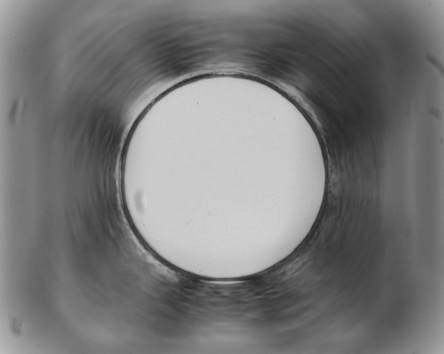 X0000102251343200808221344