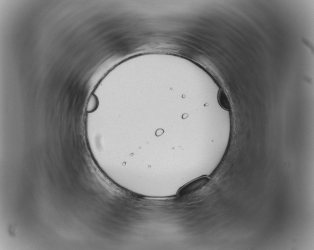 X0000102251344200808221344