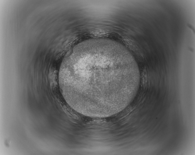 X0000102251346200808221343