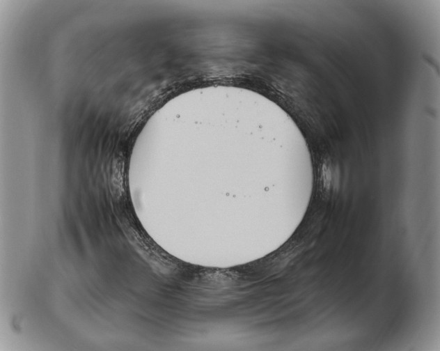 X0000102251348200808221343