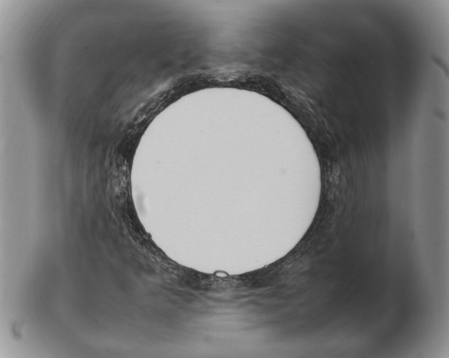 X0000102251349200808221343