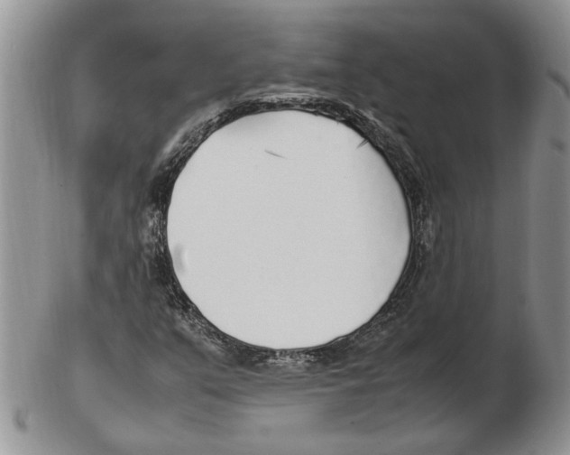 X0000102251351200808221343