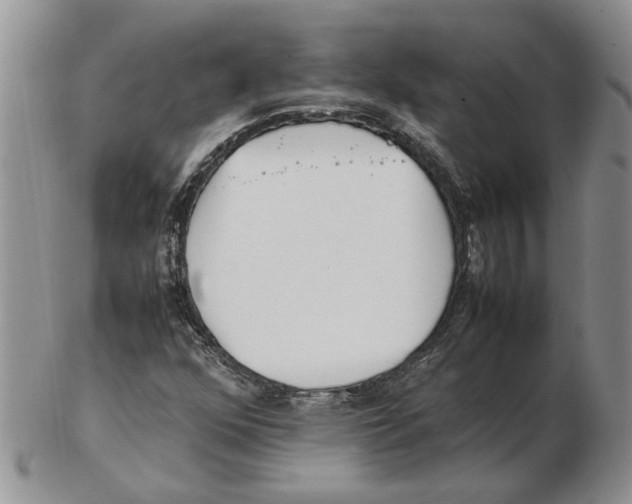 X0000102251352200808221343