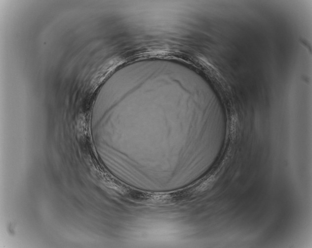 X0000102251353200808221343