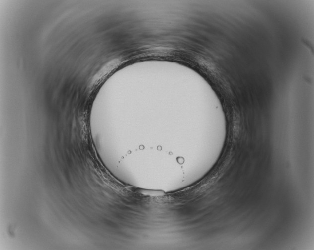 X0000102251354200808221343
