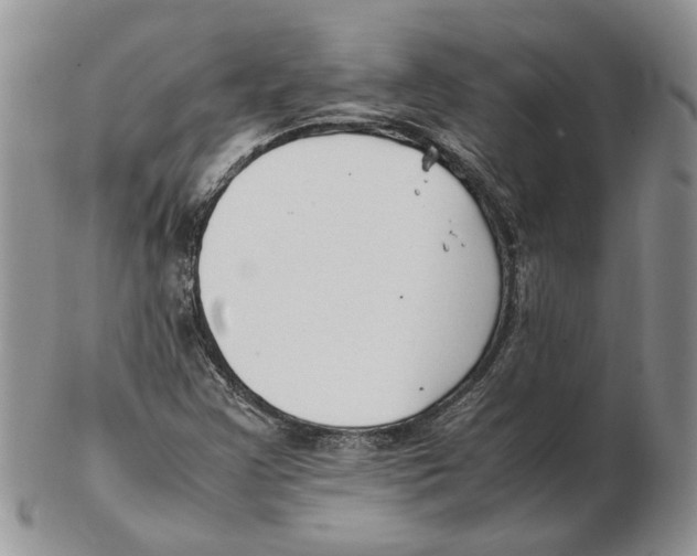 X0000102251355200808221343