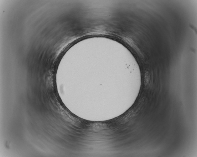 X0000102251356200808221343