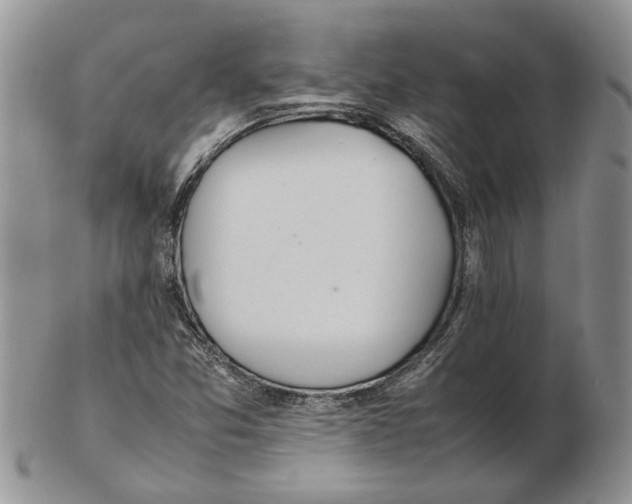 X0000102251357200808221343