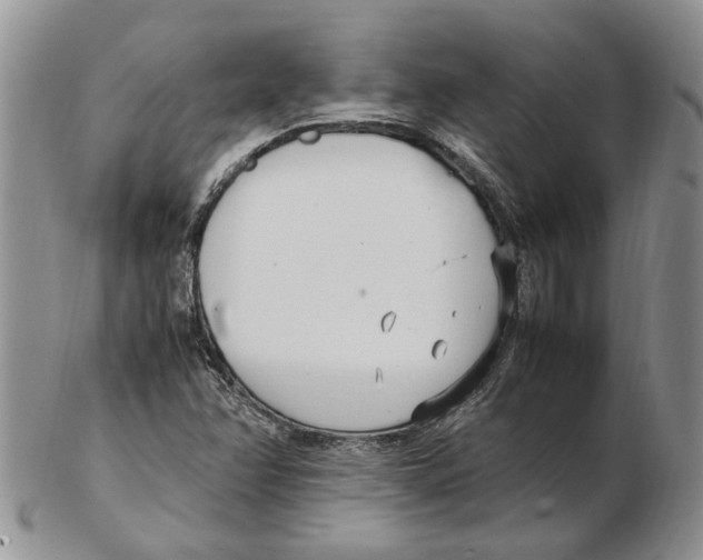 X0000102251358200808221343