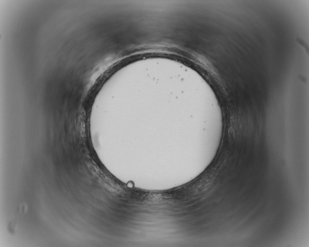 X0000102251360200808221343