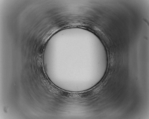 X0000102251361200808221343