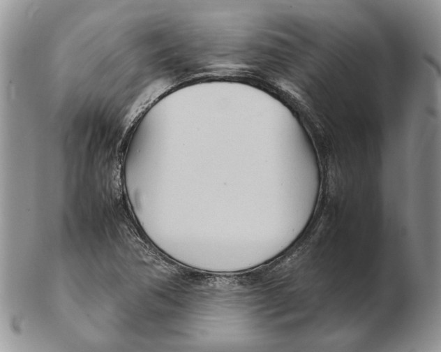 X0000102251362200808221343
