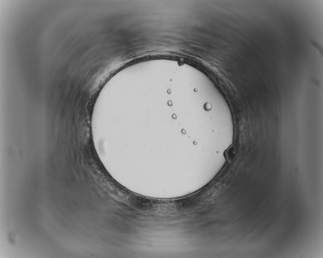 X0000102251363200808221343