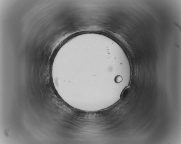 X0000102251364200808221343