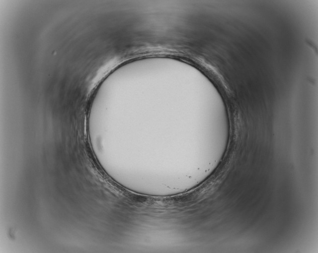 X0000102251365200808221343