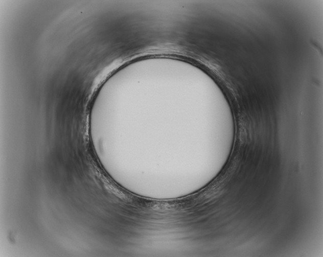X0000102251366200808221343
