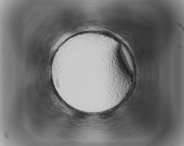 X0000102251367200808221343