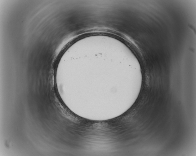 X0000102251368200808221343