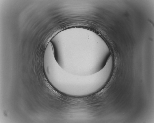X0000102251369200808221343