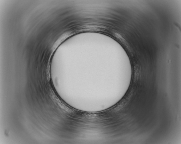 X0000102251370200808221343