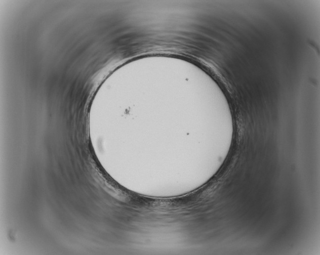 X0000102251371200808221343