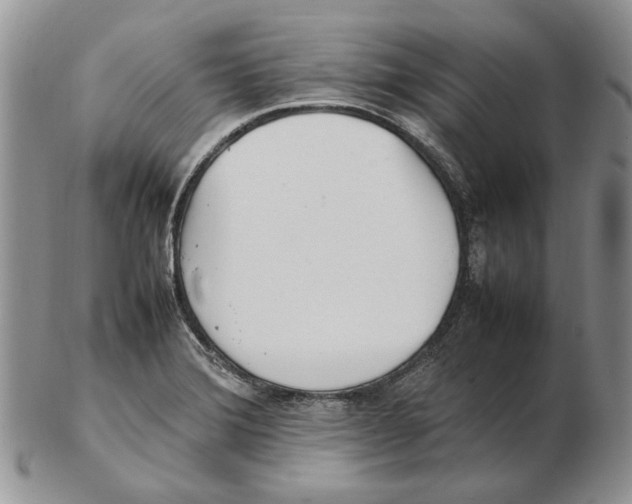 X0000102251372200808221343