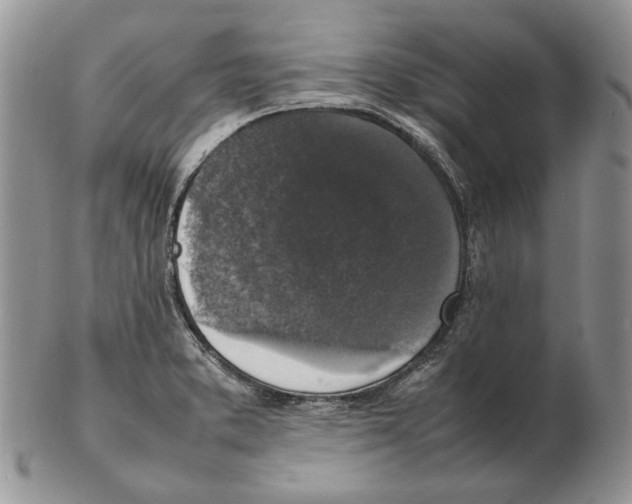 X0000102251373200808221343