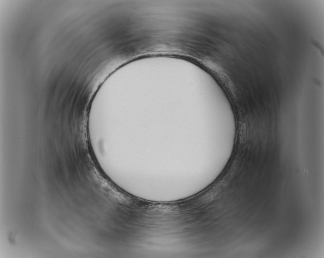X0000102251374200808221343