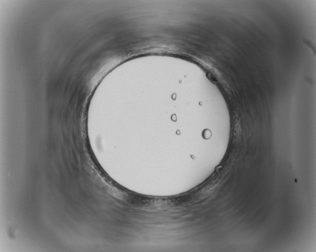 X0000102251375200808221343