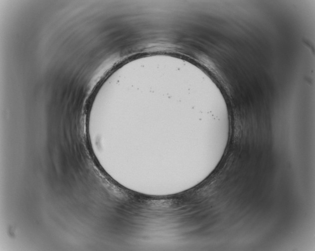 X0000102251376200808221343